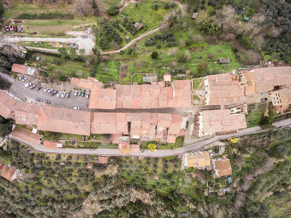 Le 3 Rane B&B Treggiaia Exterior foto